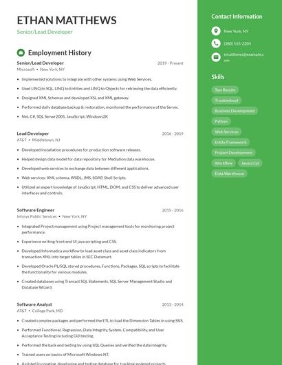 Resume example 5