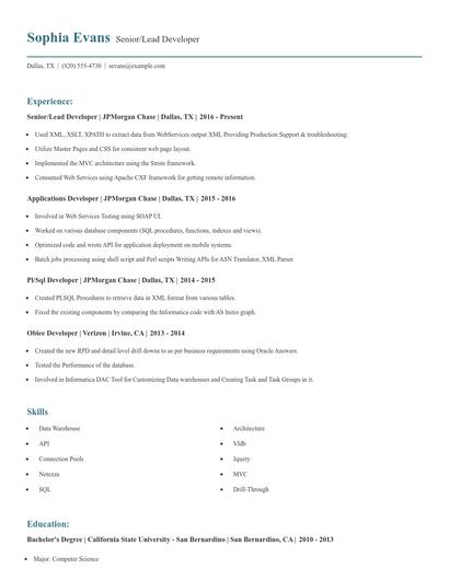 Senior/Lead Developer Resume