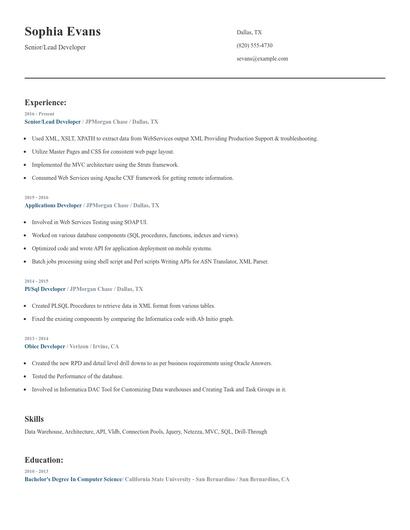Senior/Lead Developer Resume