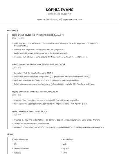Senior/Lead Developer Resume