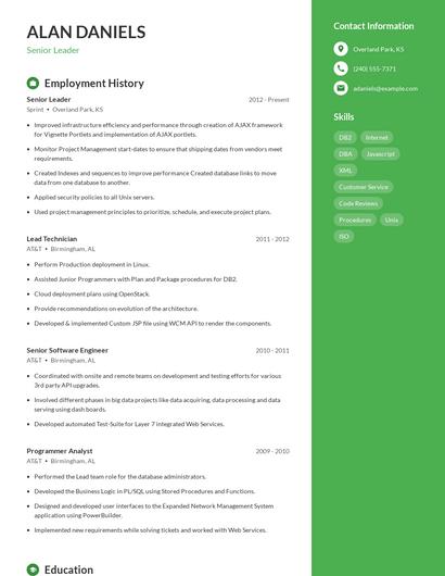 Resume example 4