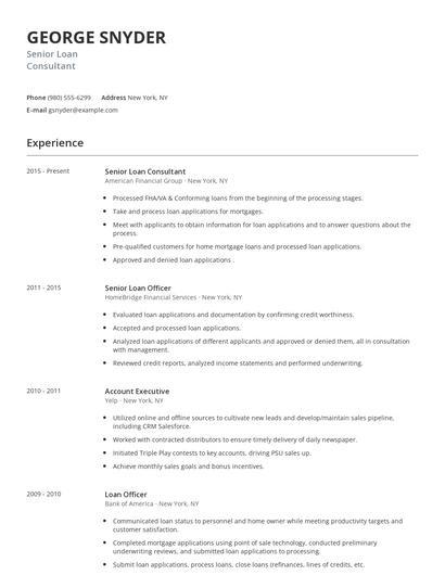 Senior Loan Consultant Resume