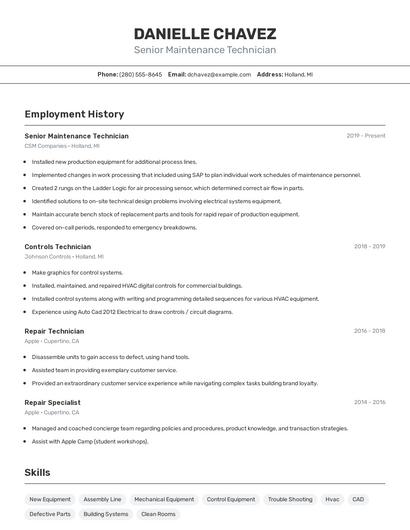 Resume example 2
