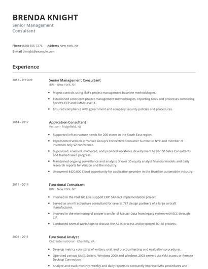 Senior Management Consultant Resume