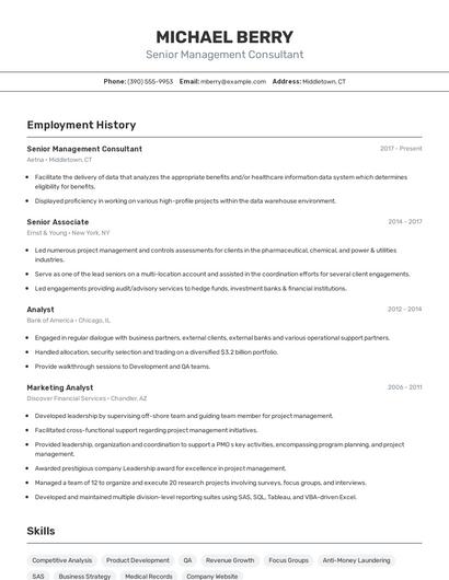 Resume example 2