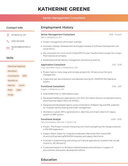 Senior Management Consultant Resume