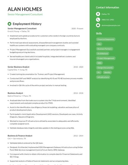 Senior Management Consultant Resume