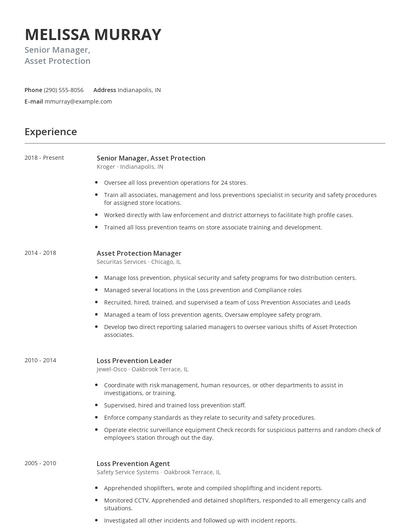 Senior Manager, Asset Protection Resume