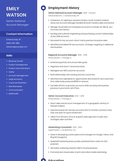 Senior National Account Manager Resume