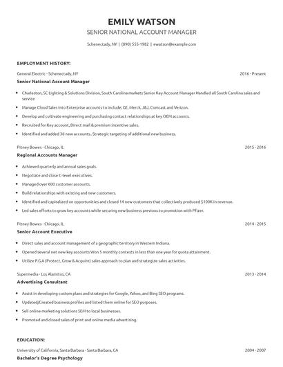 Senior National Account Manager Resume