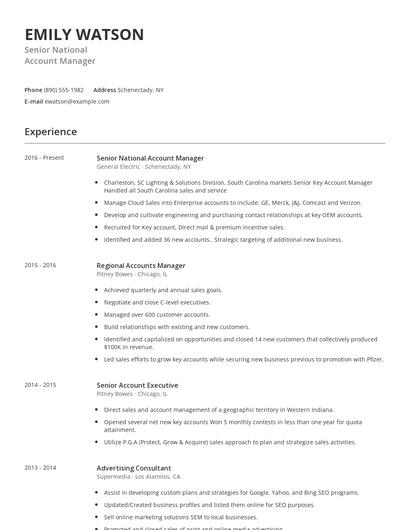 Senior National Account Manager Resume