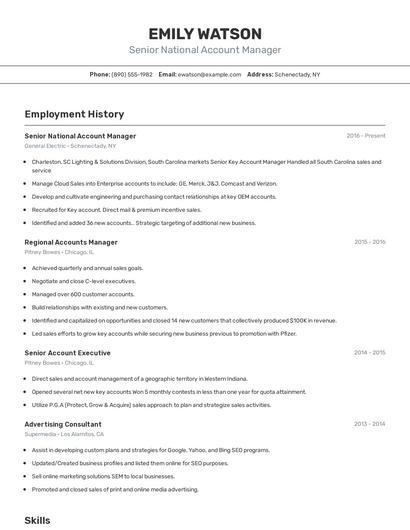 Senior National Account Manager Resume