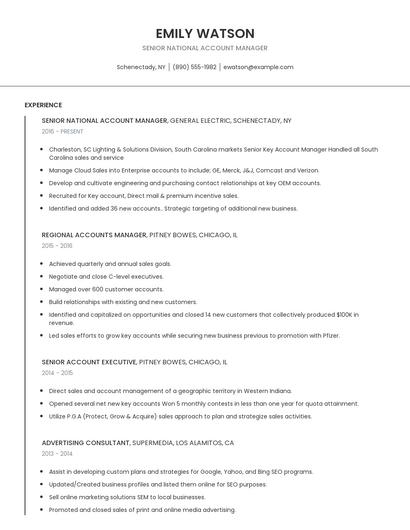 Senior National Account Manager Resume