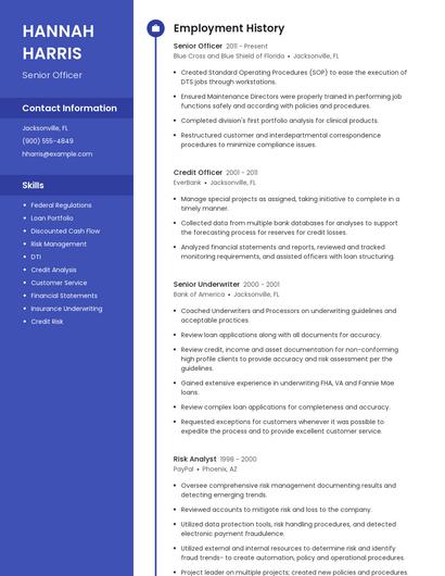 Resume example 4