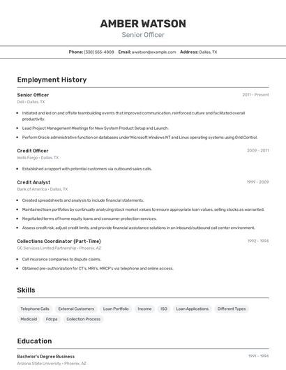 Resume example 2