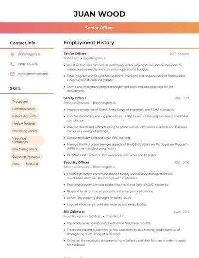 Resume example 3