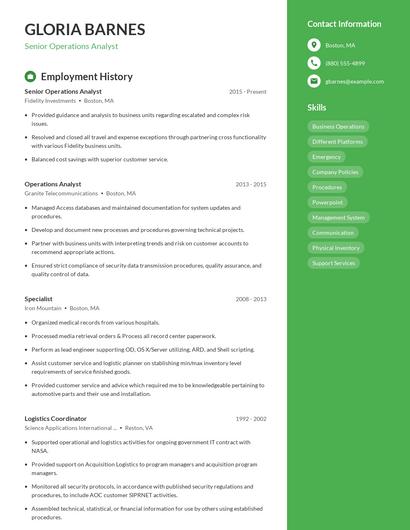 Resume example 4