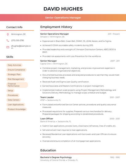 Resume example 3