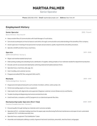 Resume example 2