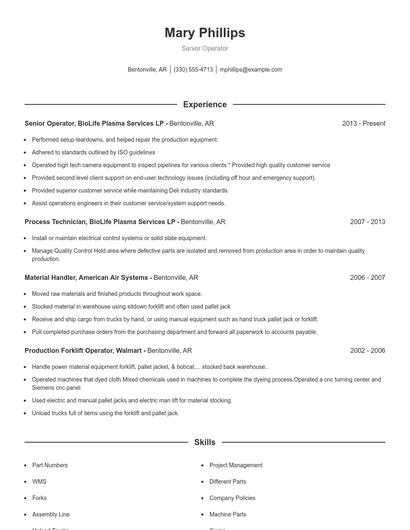 Resume example 1