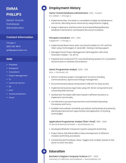 Resume example 5