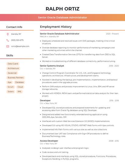 Resume example 3