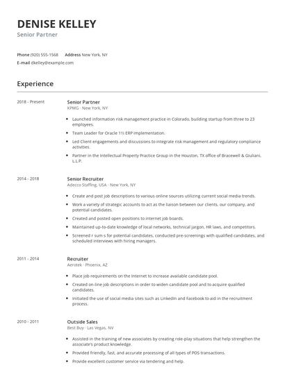 Senior Partner Resume