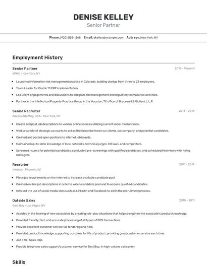 Senior Partner Resume
