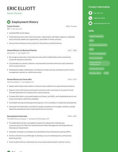 Senior Partner Resume