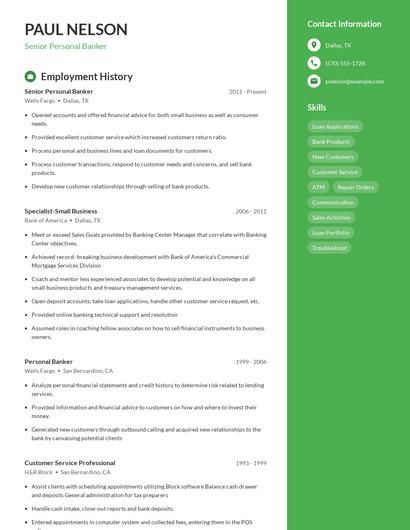 Resume example 5