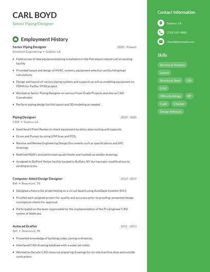 Resume example 4