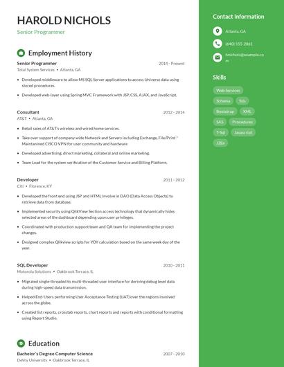 Resume example 4