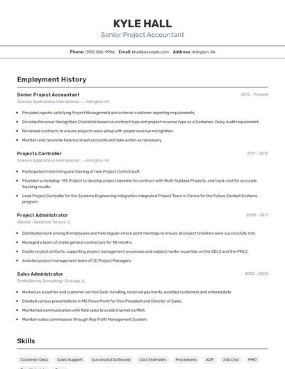 Senior Project Accountant Resume