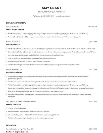 Senior Project Analyst Resume