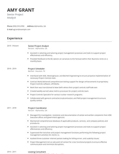 Senior Project Analyst Resume