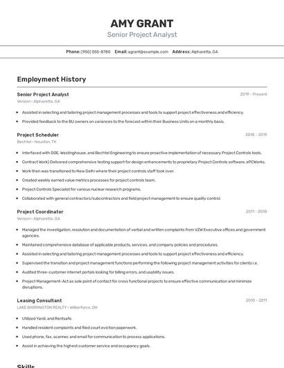 Senior Project Analyst Resume