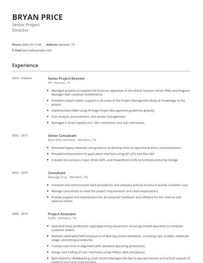 Senior Project Director Resume