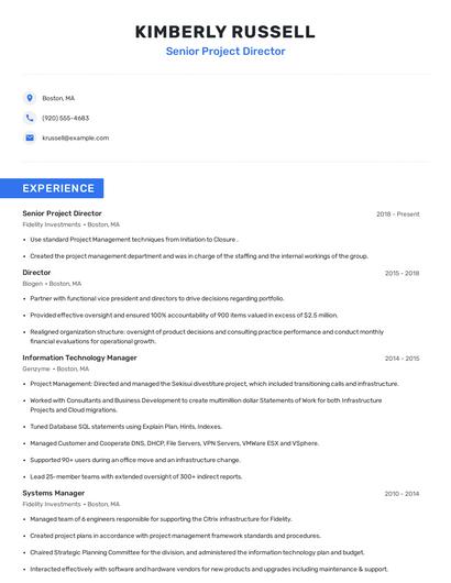 Senior Project Director Resume