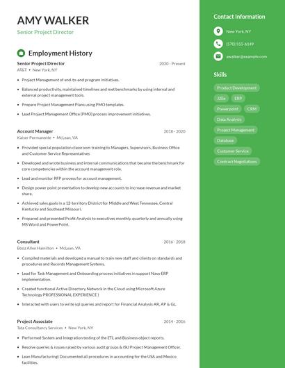 Senior Project Director Resume