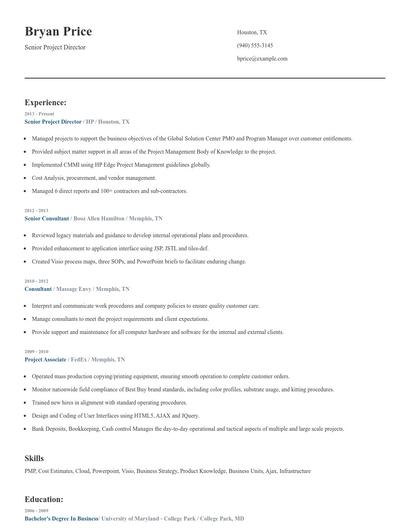 Senior Project Director Resume