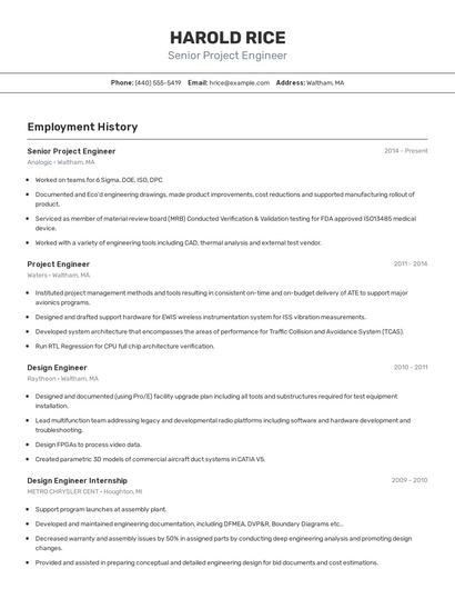 Resume example 2