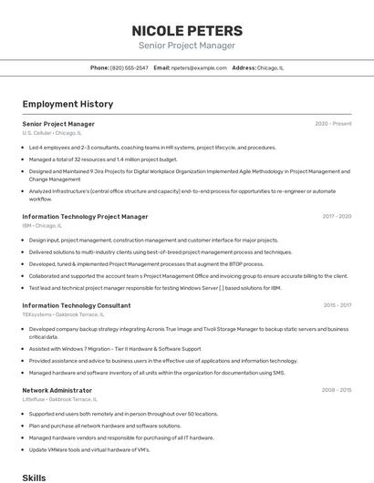 Resume example 2
