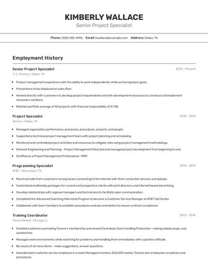 Senior Project Specialist Resume