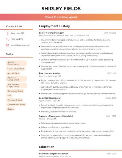 Resume example 3