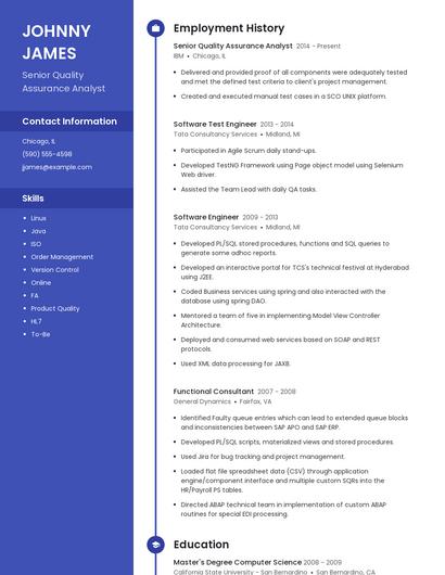 Resume example 4