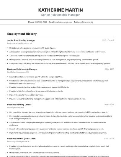 Senior Relationship Manager Resume