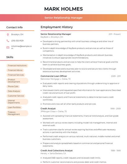 Senior Relationship Manager Resume