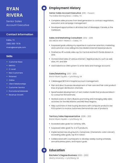 Senior Sales Account Executive Resume
