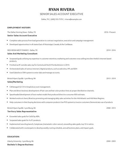 Senior Sales Account Executive Resume