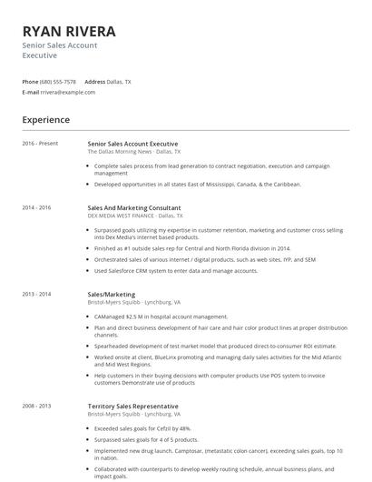Senior Sales Account Executive Resume